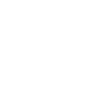 Beach Trotters